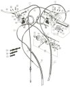 exploded view