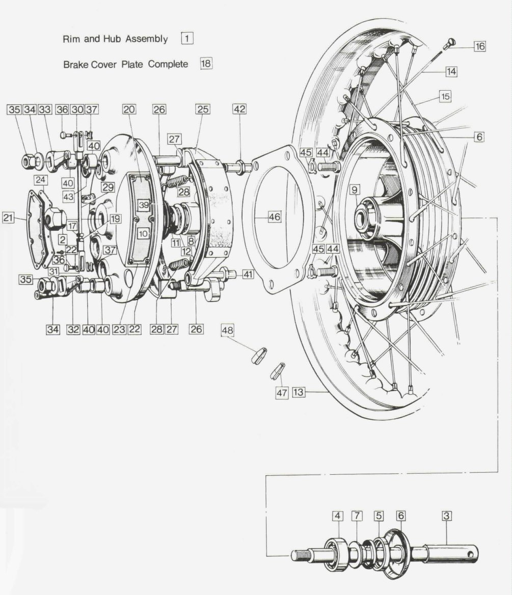 Group 19
