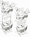 exploded view