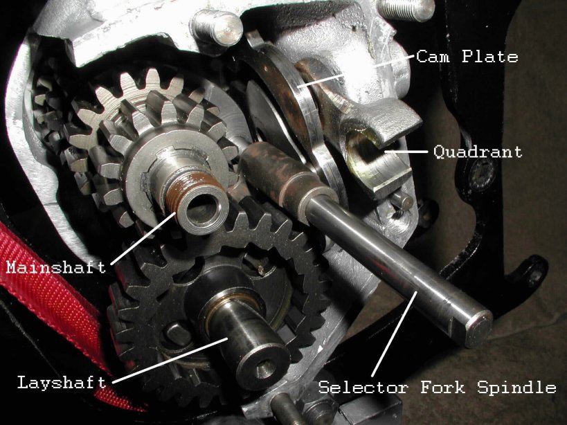 The gears in the gearbox shell